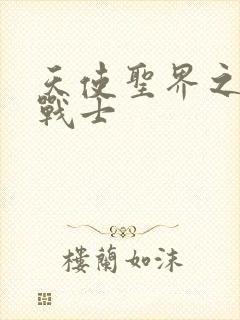 天使圣界之神之战士