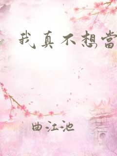 我真不想当圣师