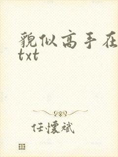 貌似高手在异界txt