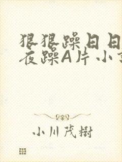 狠狠躁日日躁夜夜躁A片小说