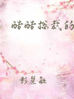 酷酷总裁的情人