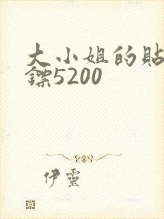 大小姐的贴身保镖5200