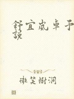 舒宜岚卓予淮小说