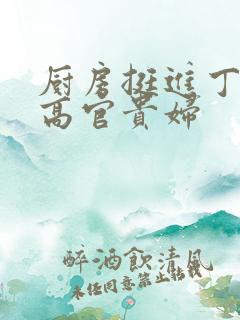 厨房挺进丁字裤高官贵妇