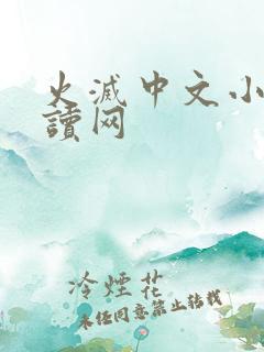 火灭中文小说阅读网