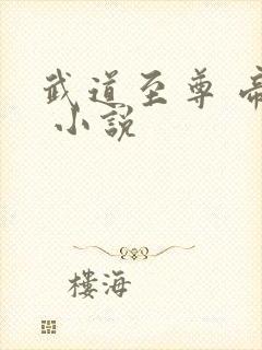 武道至尊 帝临 小说