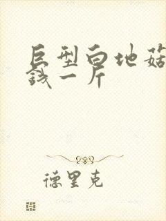 巨型白地菇多少钱一斤