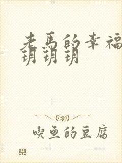 老马的幸福生活玥玥玥