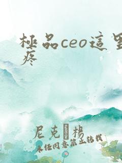 极品ceo这里疼