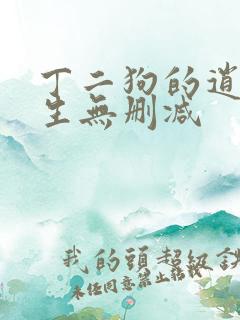 丁二狗的逍遥人生无删减