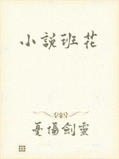 小说班花