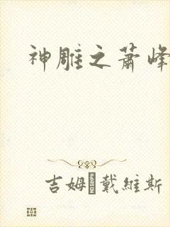 神雕之萧峰后人