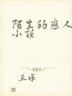 陌生的恋人原著小说