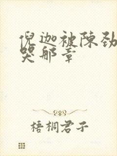 倪迦被陈劲生做哭那章