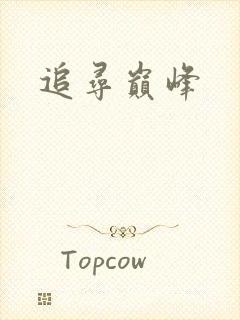 追寻巅峰
