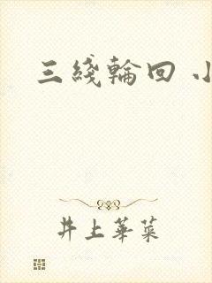 三线轮回 小说