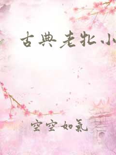 古典老牝小说