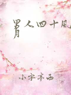 男人四十风花雪月