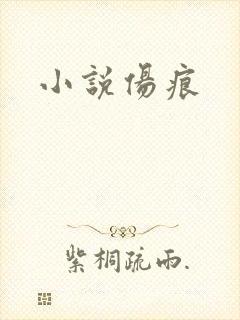 小说伤痕