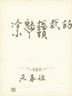 冷魅总裁的纯纯小丫头