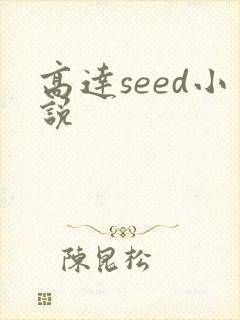 高达seed小说