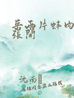 岳两片蚌肉缓缓张开