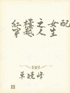 红楼之女配角的穿越人生