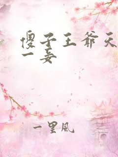 傻子王爷天下第一妾