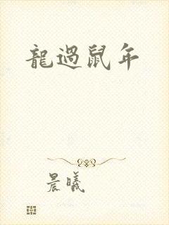龙过鼠年