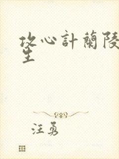 攻心计兰陵笑笑生