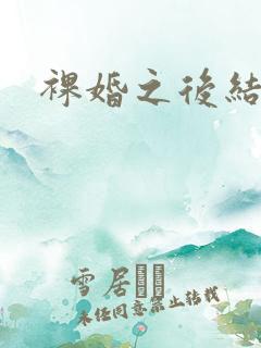 裸婚之后结局
