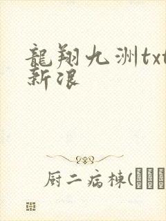 龙翔九洲txt新浪