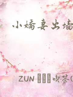 小娇妻出墙记