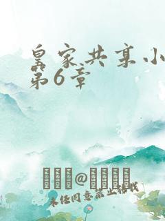 皇家共享小公主第6章