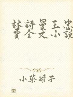 林诗曼王忠文免费全文小说的名称
