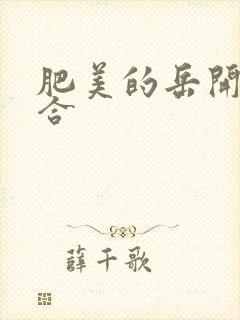 肥美的岳开始配合