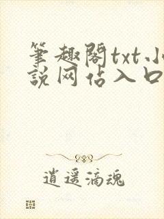 笔趣阁txt小说网站入口