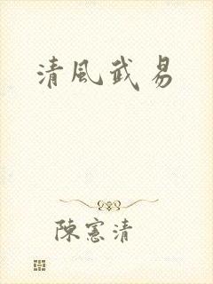 清风武易