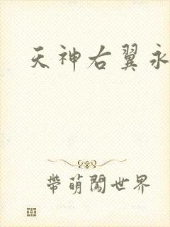 天神右翼永恒