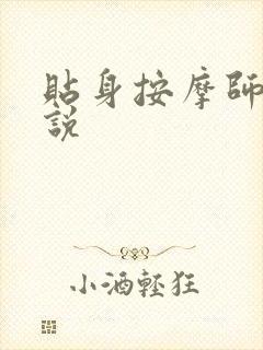 贴身按摩师 小说