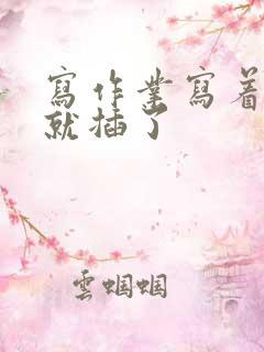 写作业写着写着就插了