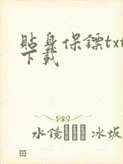 贴身保镖txt下载