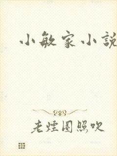 小敏家小说