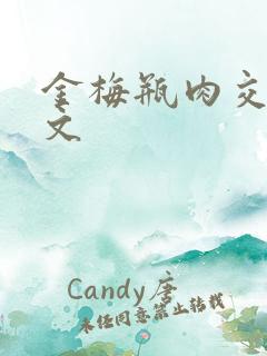 金梅瓶肉交白话文