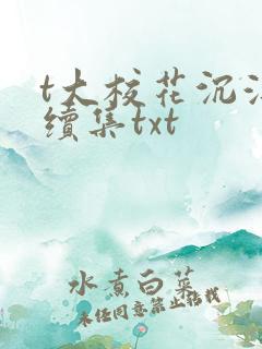 t大校花沉浮录续集txt