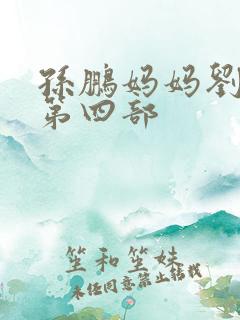 孙鹏妈妈刘淑英第四部