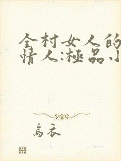 全村女人的梦中情人:极品小村医