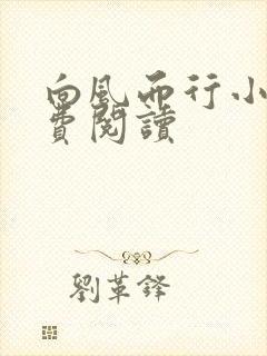 向风而行小说免费阅读