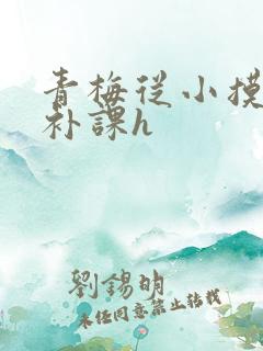 青梅从小摸到大补课h