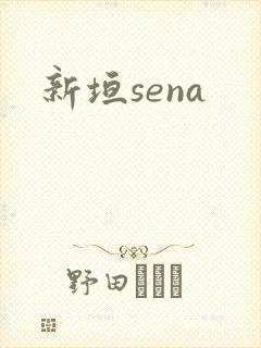 新垣sena